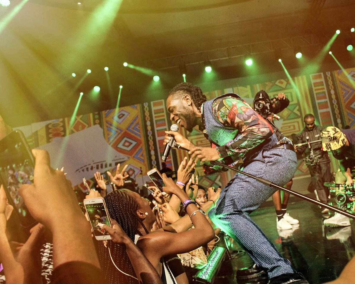Social Media Roundup: African Giant