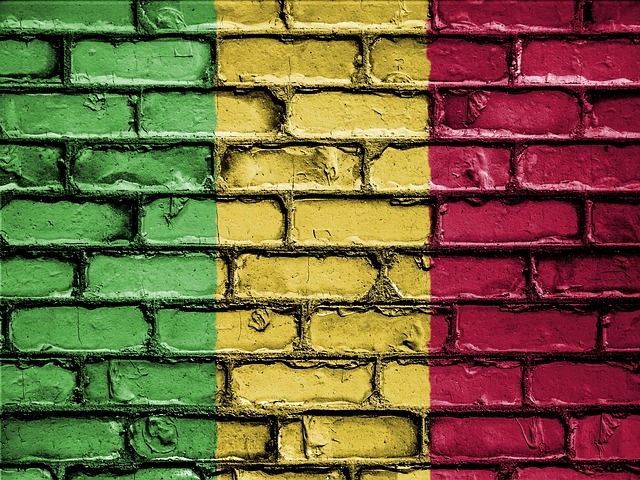 Mali is about to join the league of nations to enact a Startup Act