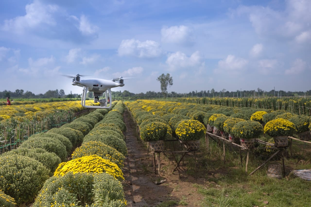 Agritech startup ecosystem: Tax planning, incentives and opportunities