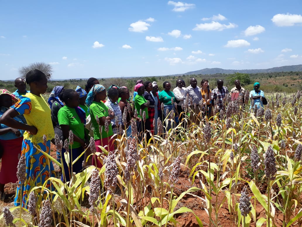 Agritech startup, ITIKI simplifies rainfall forecast for Africa's small-scale farmers 5 Farmers using ITIKI Solutions for Drought Prediction