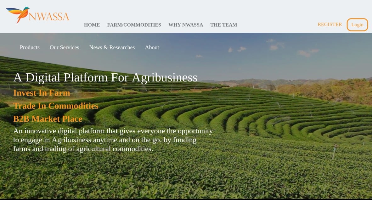 How Tingo Mobile is connecting African farmers to the world with Nwassa 1 nwassa home