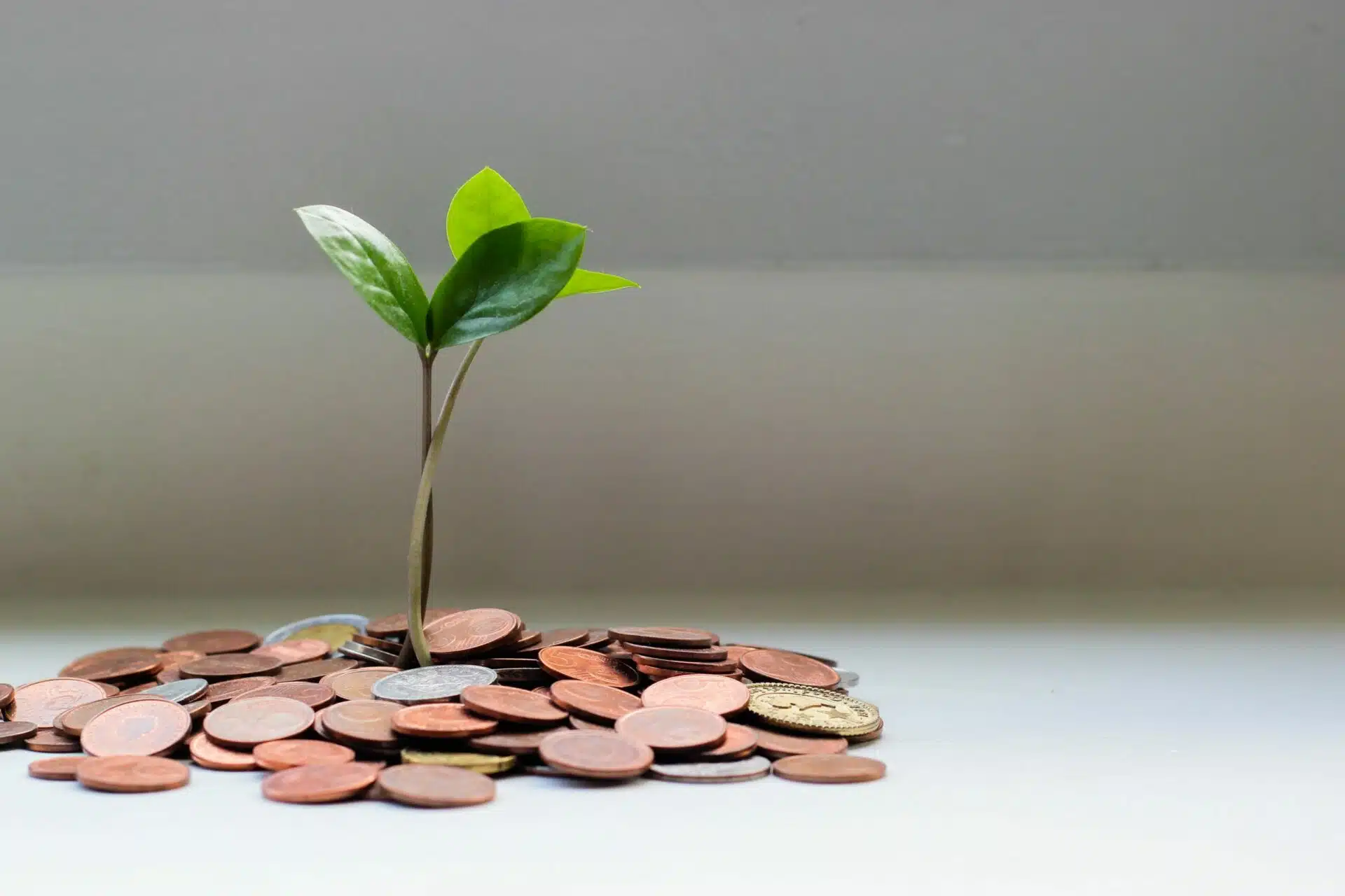 startup funding
