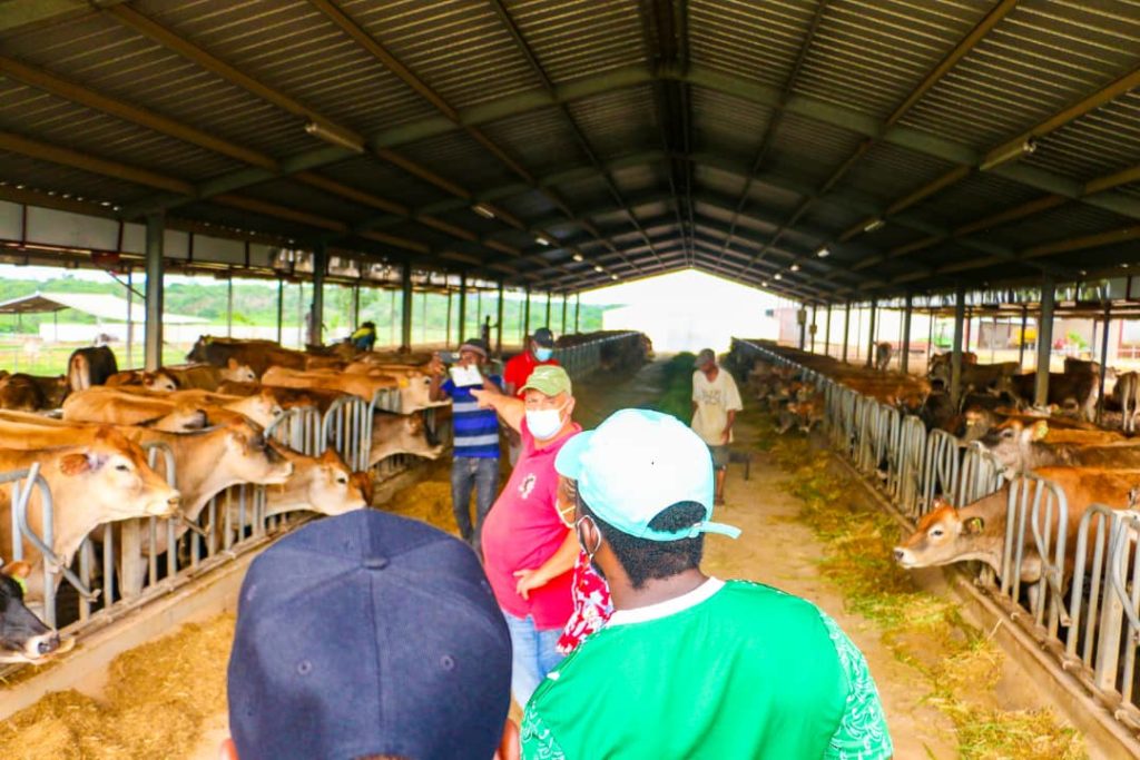 Nourishing dairy with tech, a path to Nigeria’s economic growth? 2 WhatsApp Image 2021 05 30 at 10.14.57 1