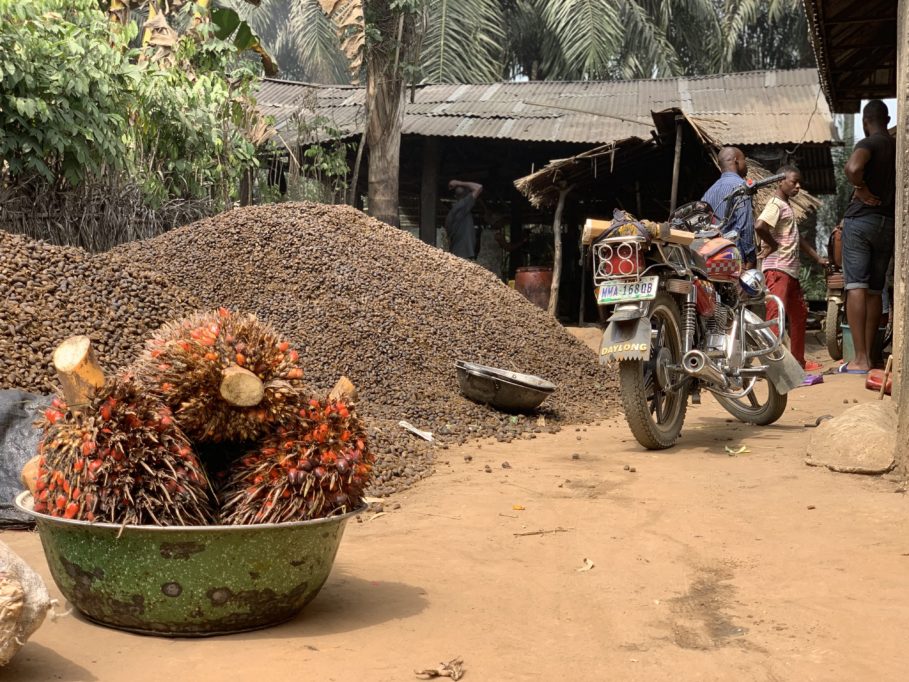 How Agritech startup, Releaf, wants to change the face of food processing in Africa 2 Palm Kernel
