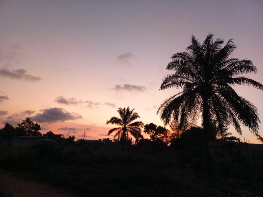 How Agritech startup, Releaf, wants to change the face of food processing in Africa 3 Photo by Mr Achraf via Iwaria