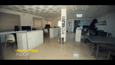 This is Patricia; a place where convention comes to die 28 patricia marketing gif
