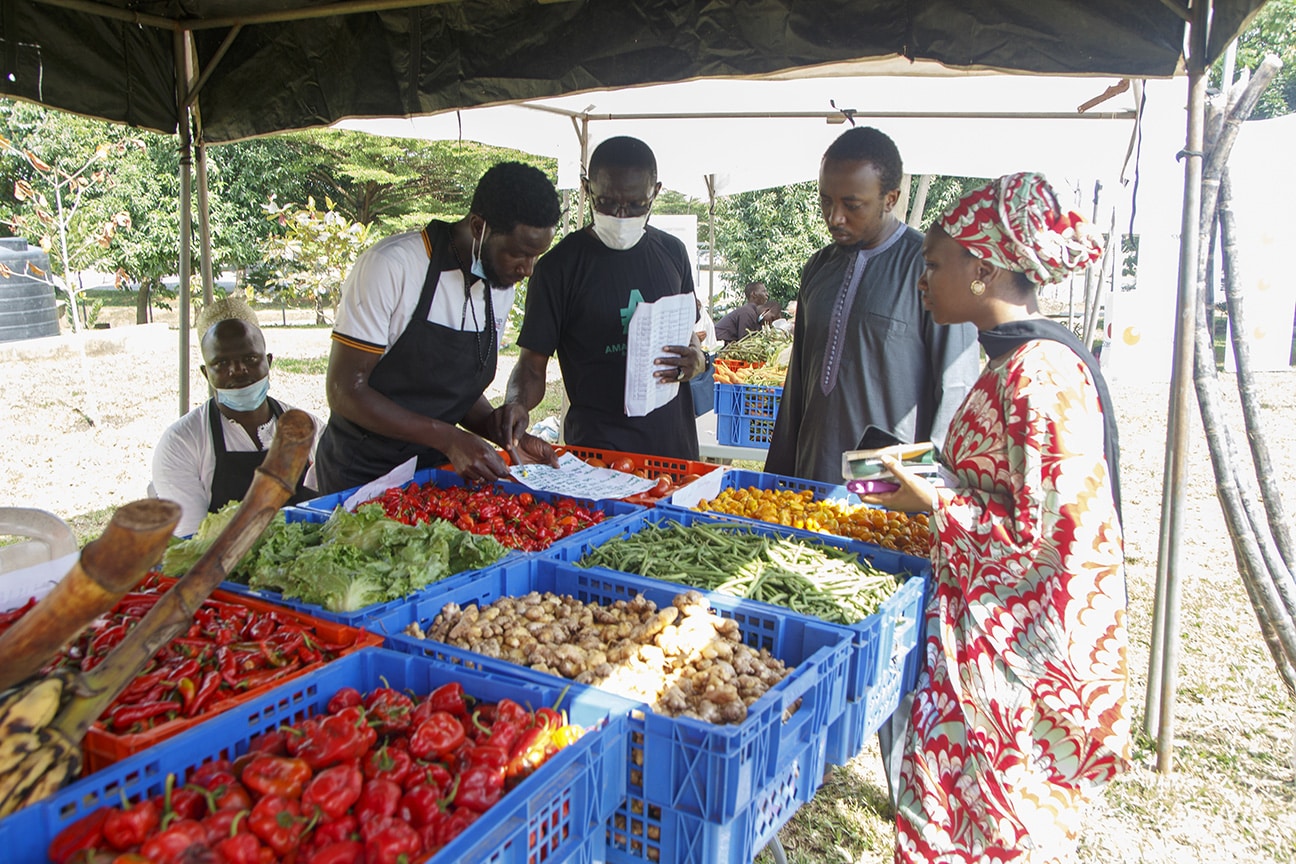 Betting $165 million on Africa’s B2B eCommerce in 2021