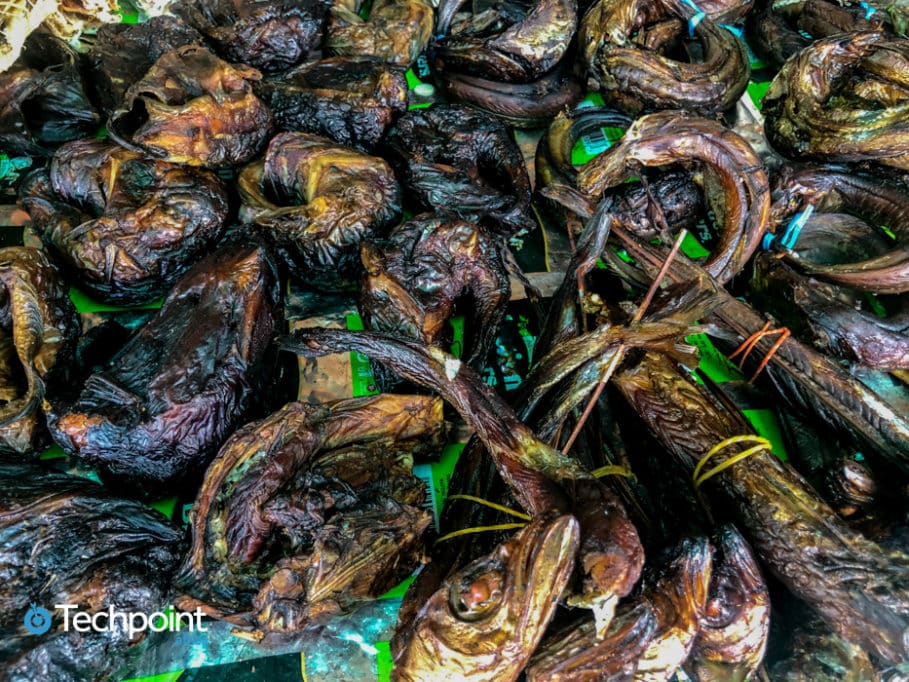 How agritech startups are helping to check food inflation in Nigeria 1 food day