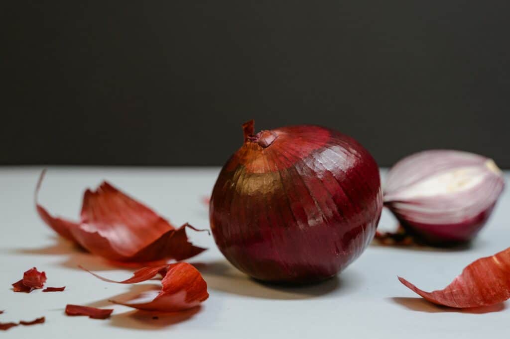 Lendsqr is building the infrastructure to power lending in Africa 2 An onion. Source: Pexels