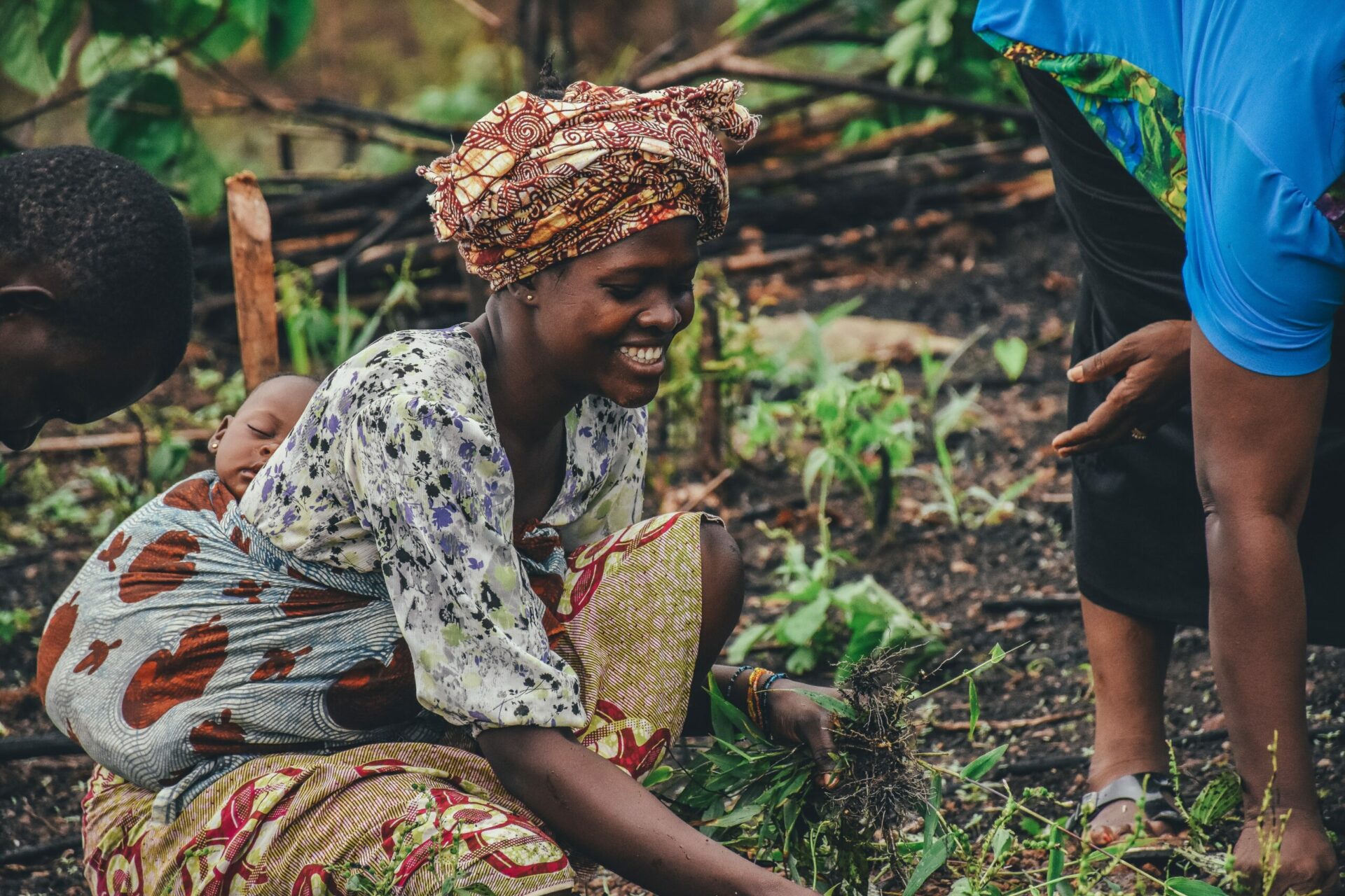 Blockchain-powered insurance: How Etherisc is insuring Kenyan farms against bad climate