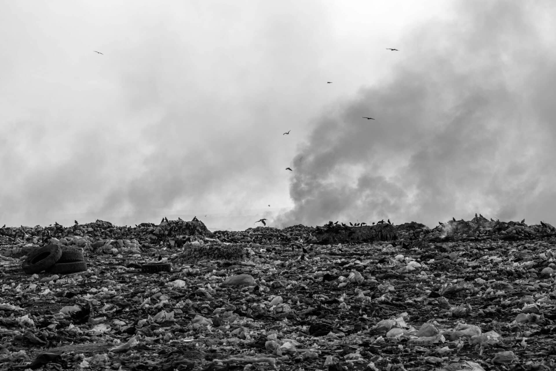 waste landfill
