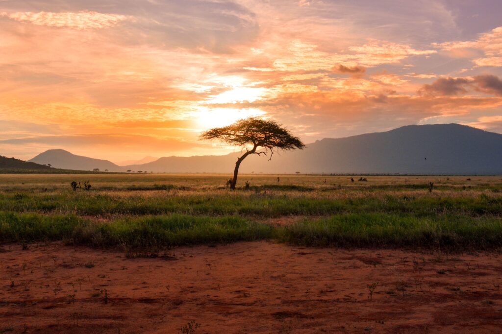 “We want to improve the lives of people through our investments.” – Brian Odhiambo, Partner, Novastar Ventures 2 The Kenyan ladscape. Photo by Damian Patkowski via Unsplash