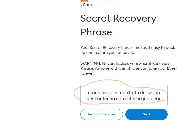 How to protect yourself from a crypto exchange collapse in 2023 5 MetaMask recovery phrase