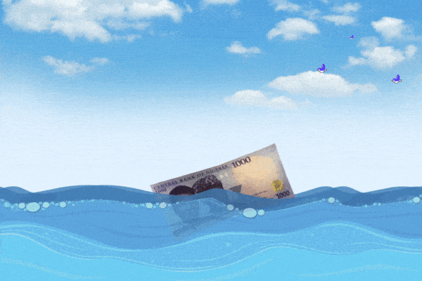 Investors believe floating the naira could drive venture capital investments in Nigeria 