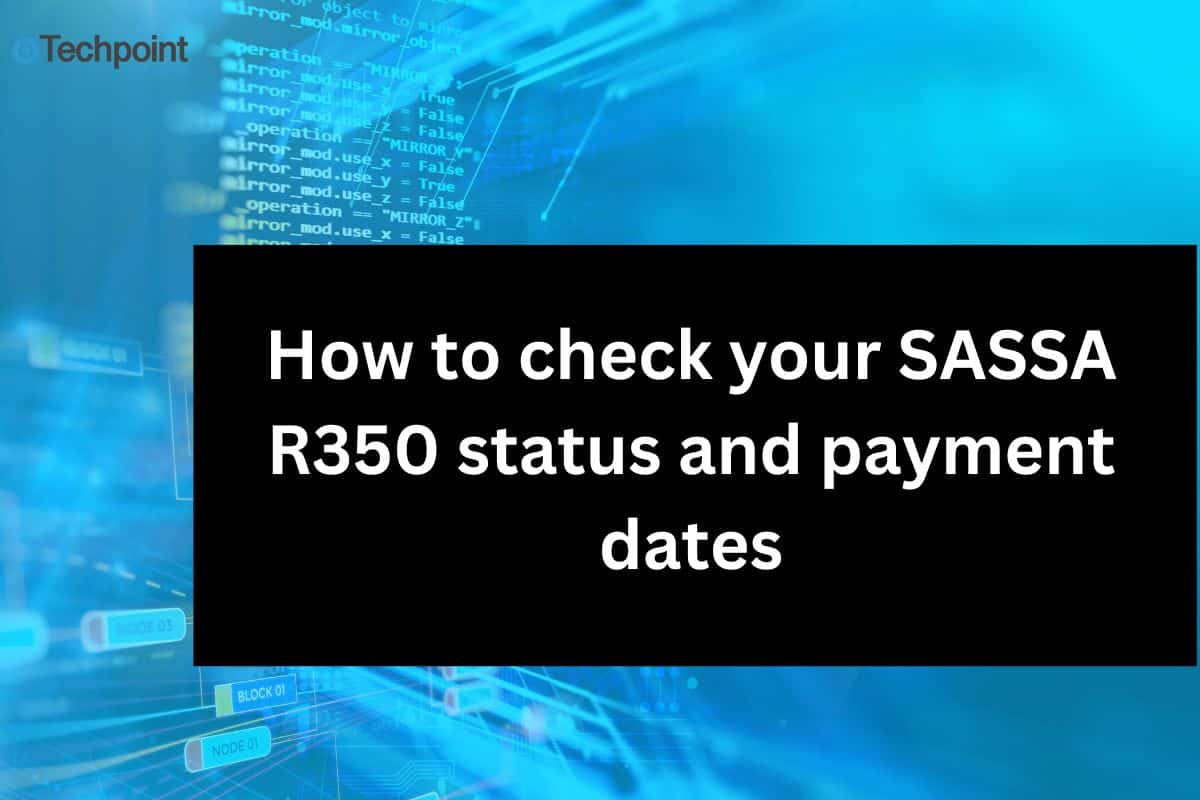 How to check your SASSA R350 status and payment dates (2025 Update)